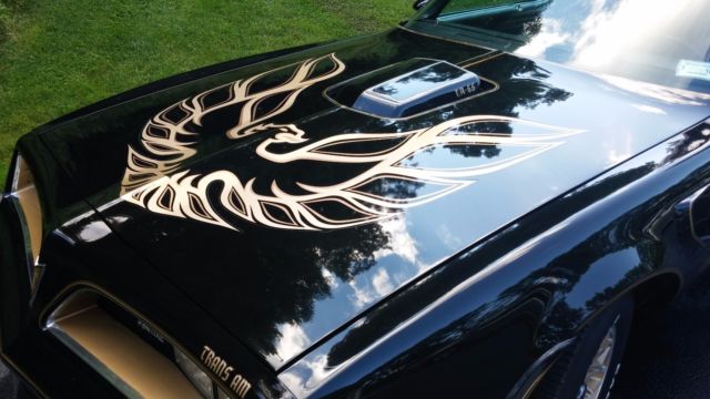 1977 Pontiac Trans Am SE Y82 - photo 3