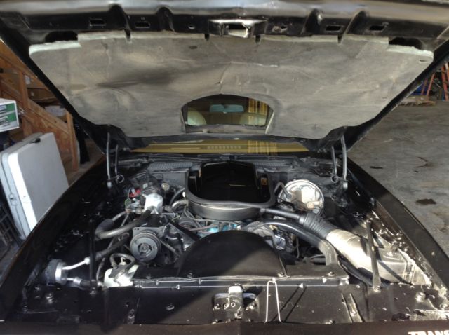 1977 Pontiac Trans Am - photo 13