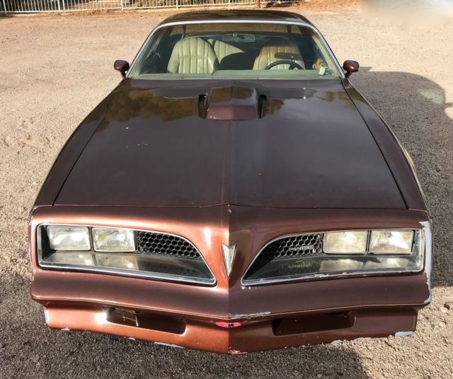 1977 Pontiac Firebird TRANS AM - photo 3