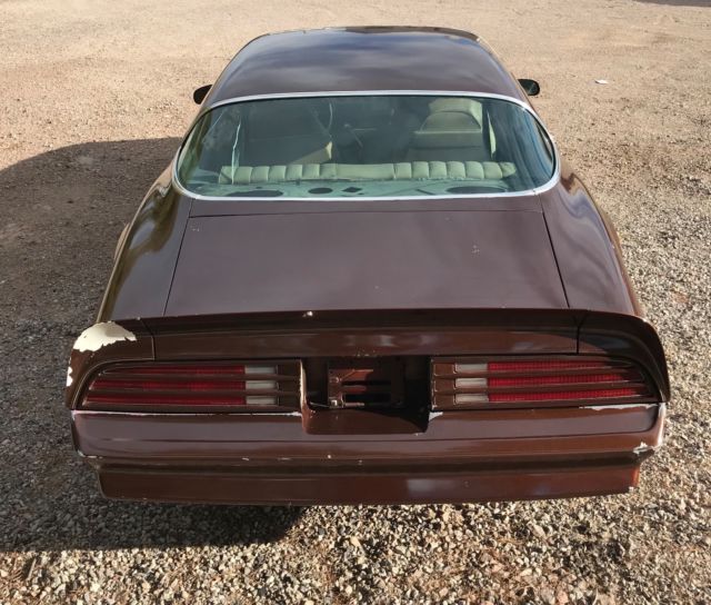 1977 Pontiac Firebird TRANS AM - photo 4