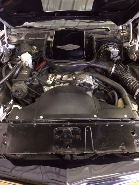 1977 Pontiac Trans Am - photo 7