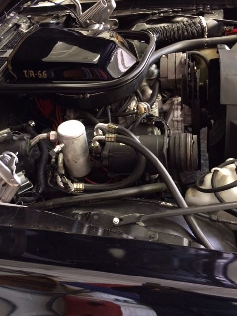 1977 Pontiac Trans Am - photo 8