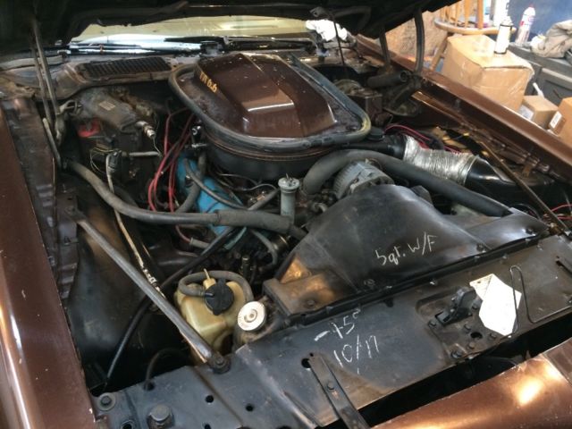 1977 Pontiac Trans Am - photo 8