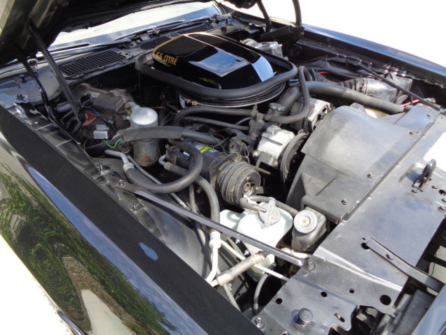 1977 Pontiac Trans Am - photo 11