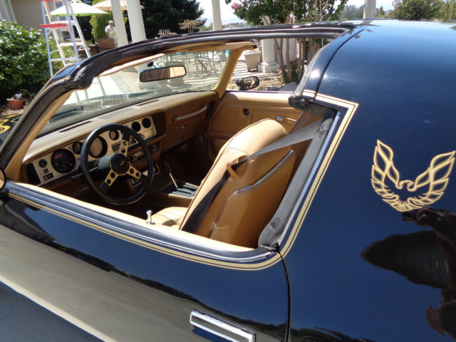 1977 Pontiac Trans Am - photo 4