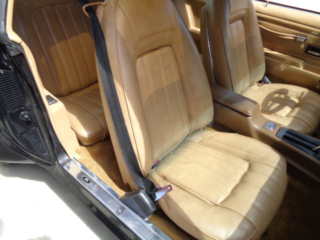 1977 Pontiac Trans Am - photo 7