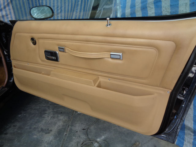 1977 Pontiac Trans Am - photo 8