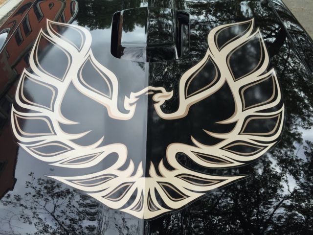 1977 Pontiac Trans Am SE