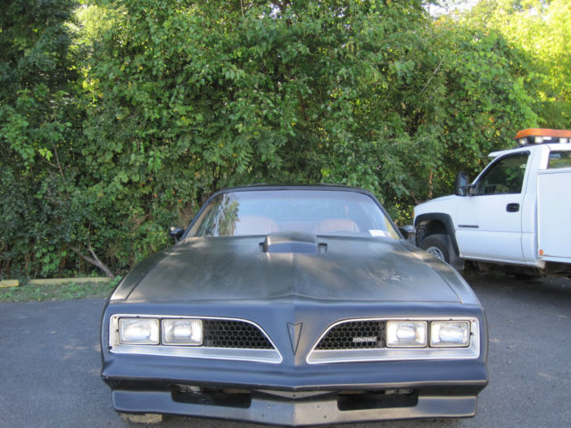 1977 Pontiac Trans Am - photo 2