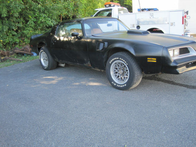 1977 Pontiac Trans Am - photo 3