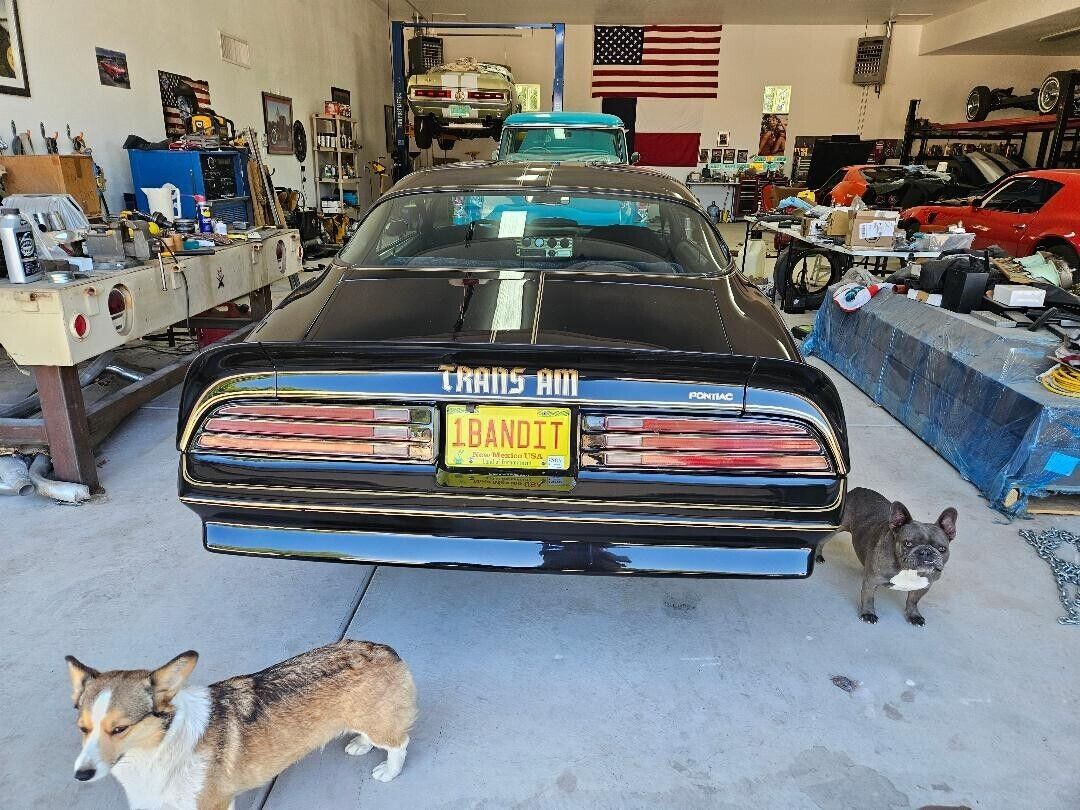 1977 Pontiac Trans Am - photo 5