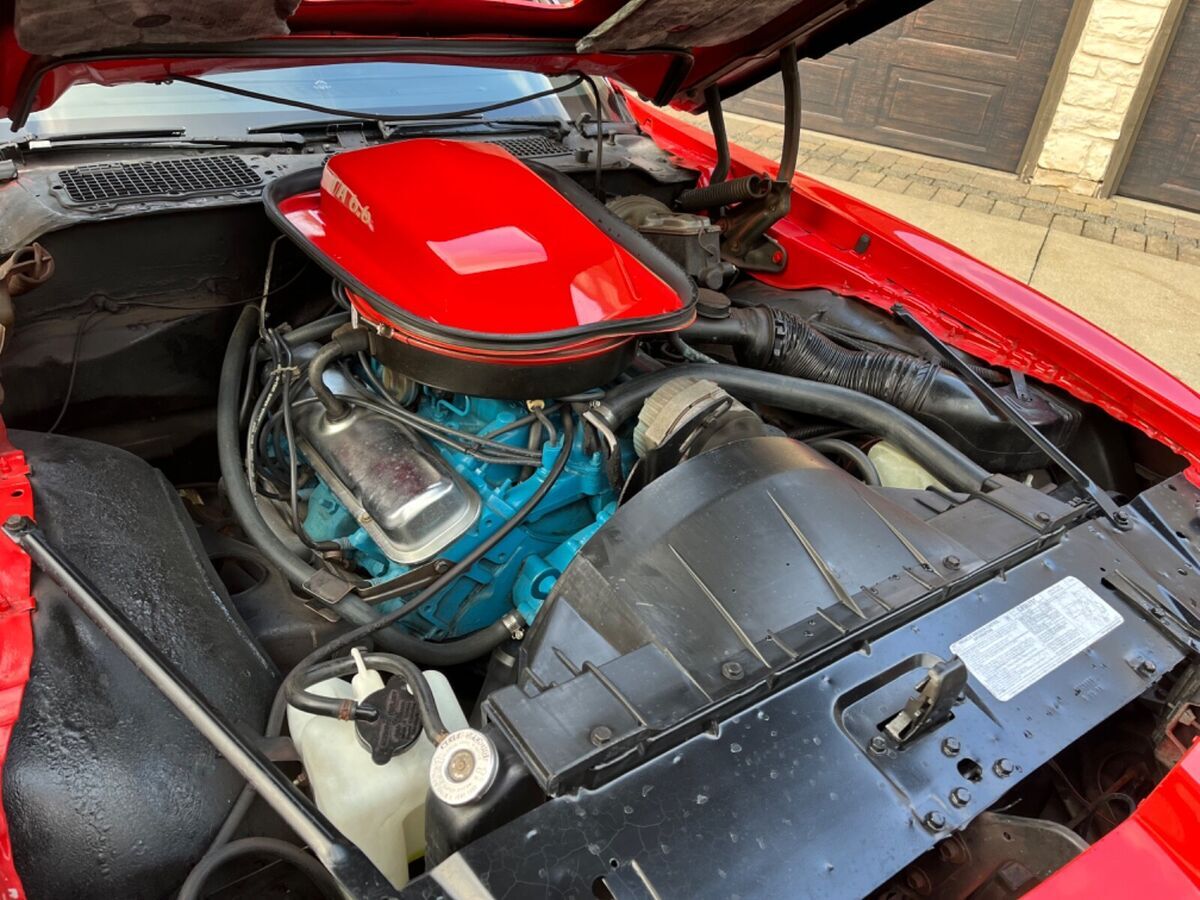 1977 Pontiac Trans Am - photo 6