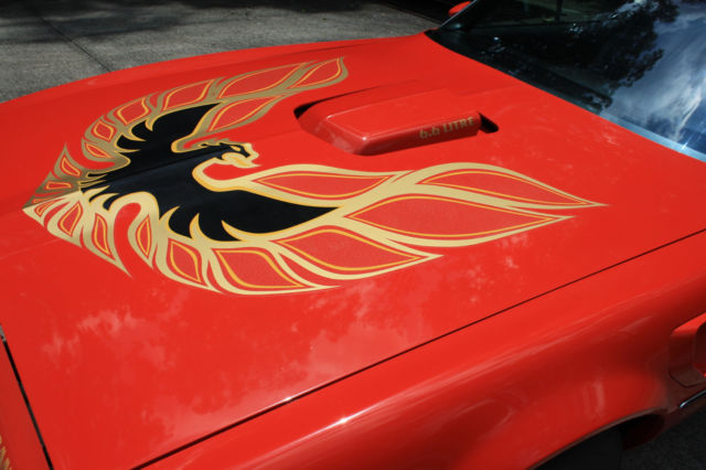 1977 Pontiac Trans Am - photo 4