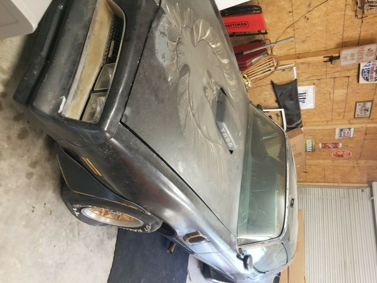 1977 trans am se 1977 Pontiac Trans Am