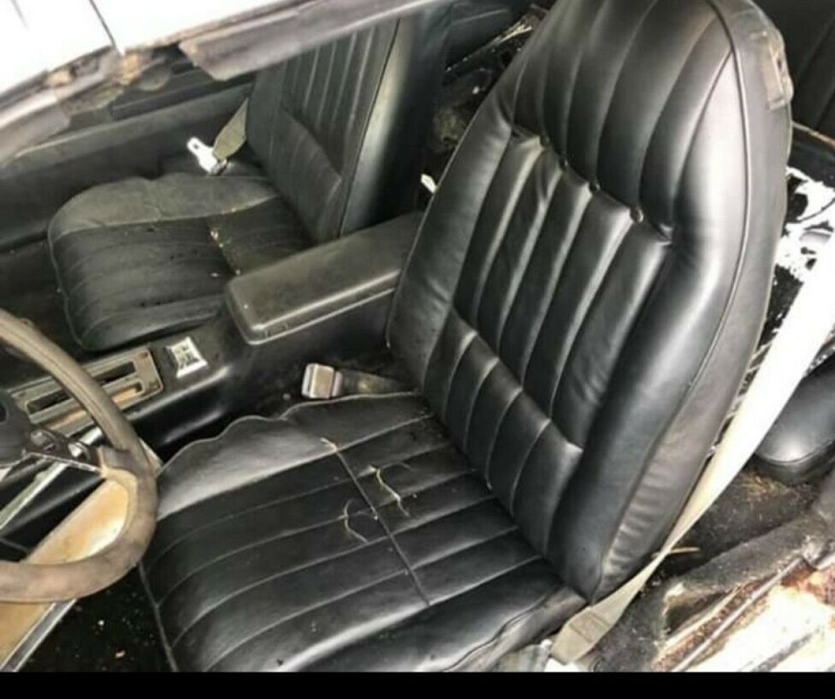 1977 Pontiac Trans Am - photo 2