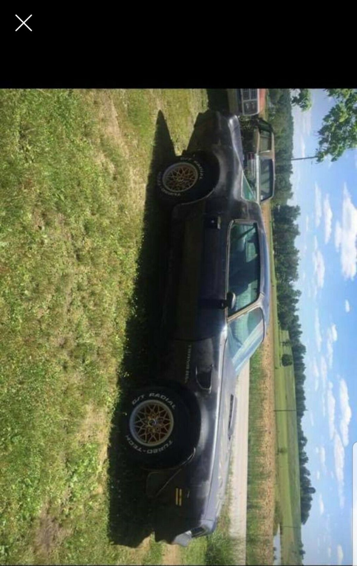 1977 Pontiac Trans Am - photo 5