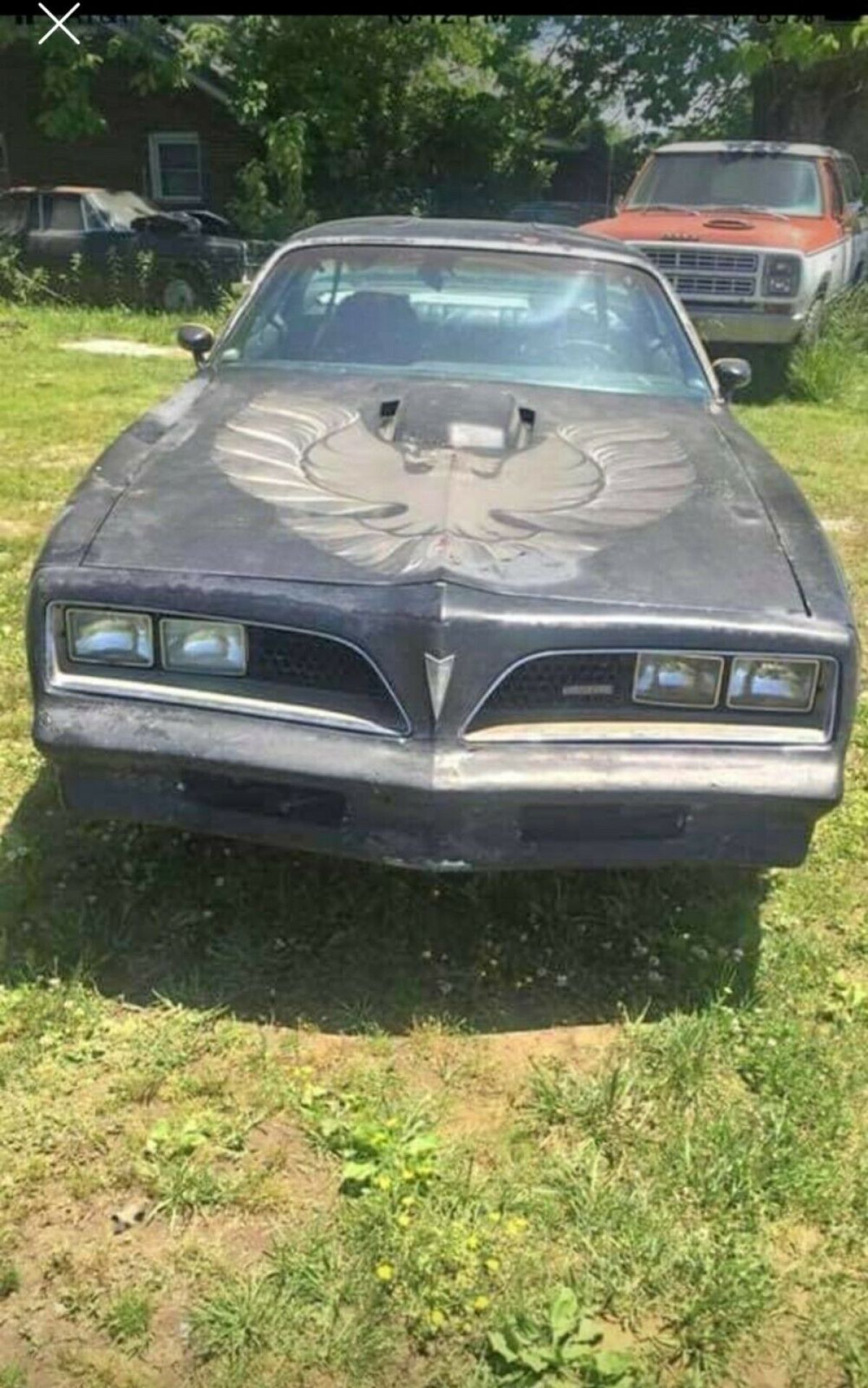 1977 Pontiac Trans Am - photo 6