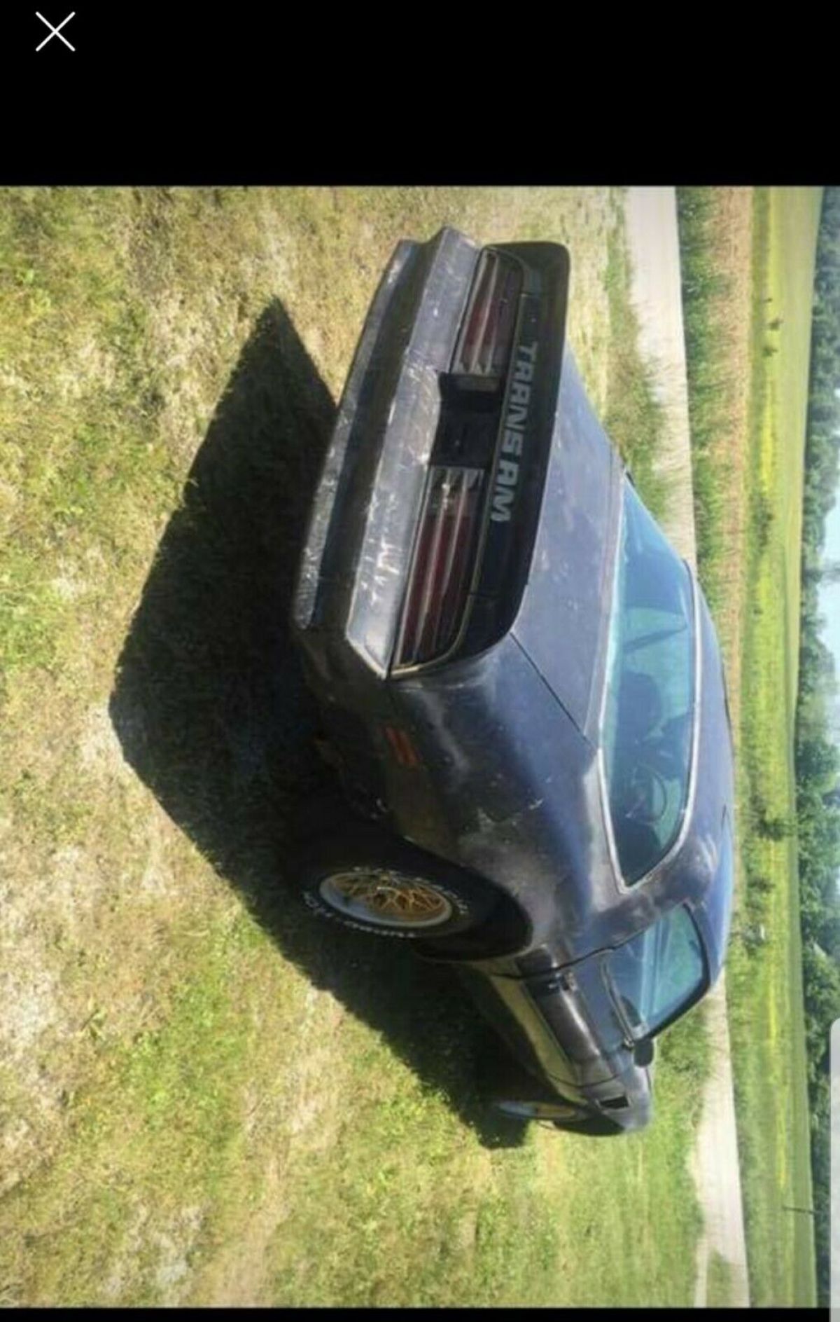 1977 Pontiac Trans Am - photo 7