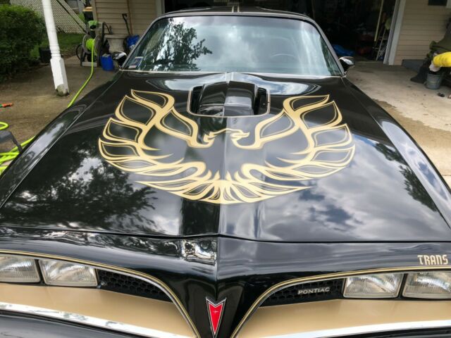 1977 Trans Am SE Y82 400 Number Matching Hurst T-TOPS 1977 Pontiac Trans Am SE special edition y82