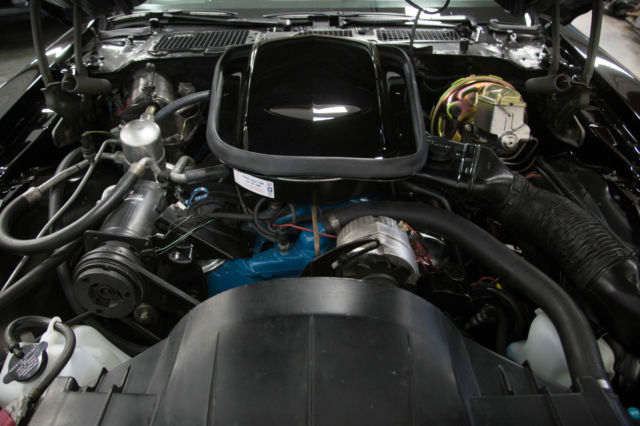 1977 Pontiac Trans Am Special Edition - photo 11
