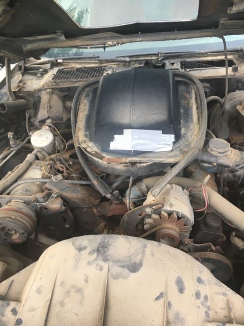 1977 Pontiac Trans Am WS4 - photo 2