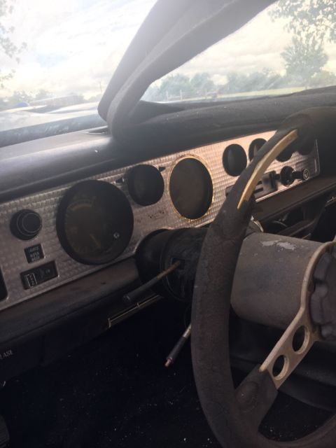 1977 Pontiac Trans Am WS4 - photo 3