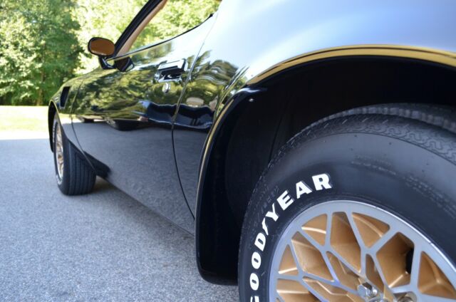 1977 Pontiac Firebird - photo 4