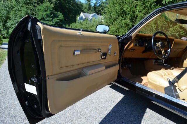 1977 Pontiac Firebird - photo 9
