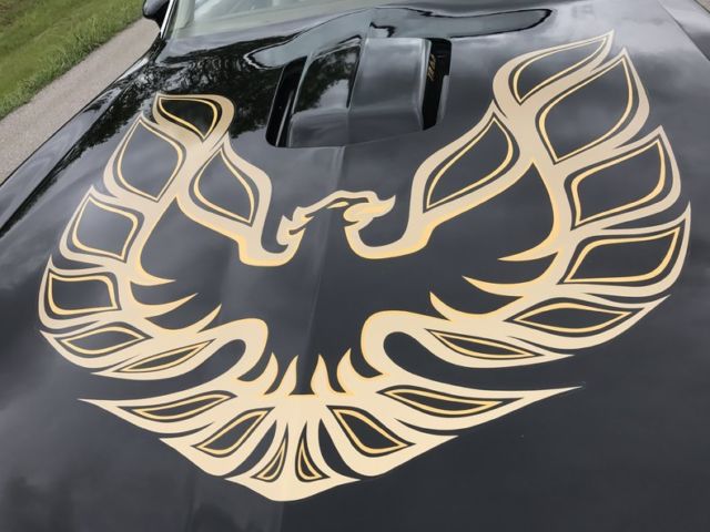 1977 Pontiac Trans Am - photo 5