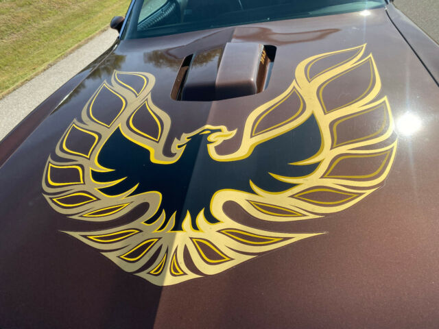 1977 Pontiac Trans Am W72 400 Auto 33k miles Brentwood Brown, Black Int - photo 2