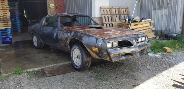 1977 Pontiac Trans Am - photo 4