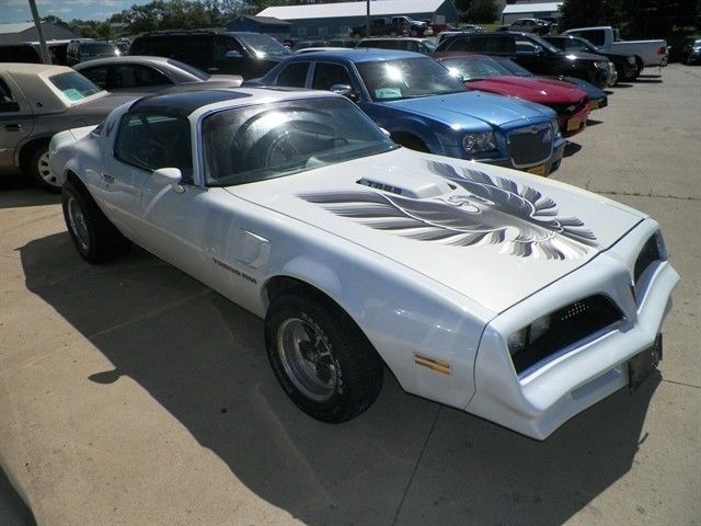 1977 Pontiac Trans Am - photo 5