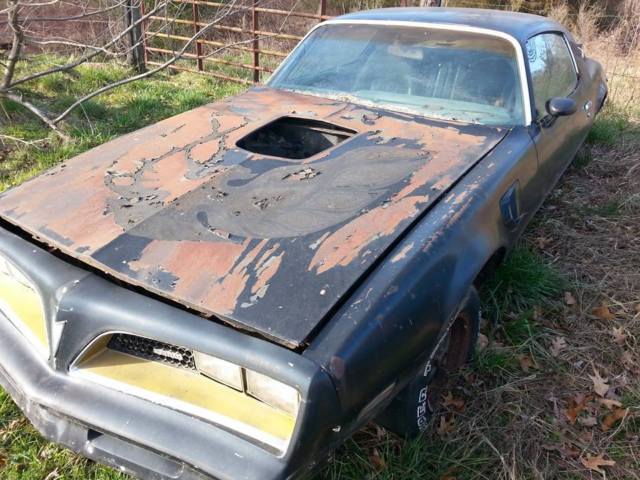 1977 Pontiac Trans Am Special Ed
