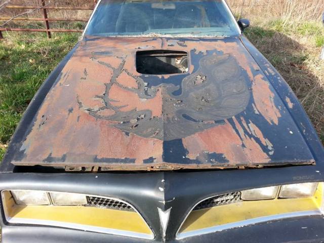 1977 Pontiac Trans Am Special Ed - photo 2