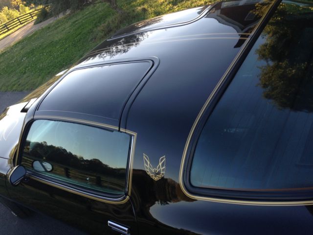 1977 Pontiac Trans Am Y82 SPECIAL EDITION - photo 7