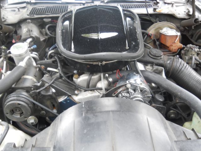 1977 Pontiac Trans Am trans am - photo 5