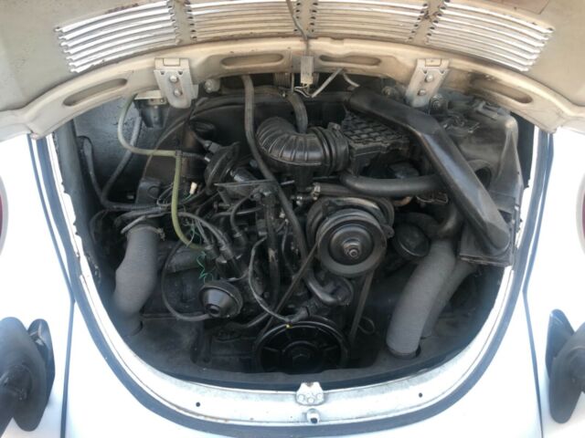 1977 Volkswagen Beetle - Classic 1977 Volkswagen Beetle Convertible - photo 10