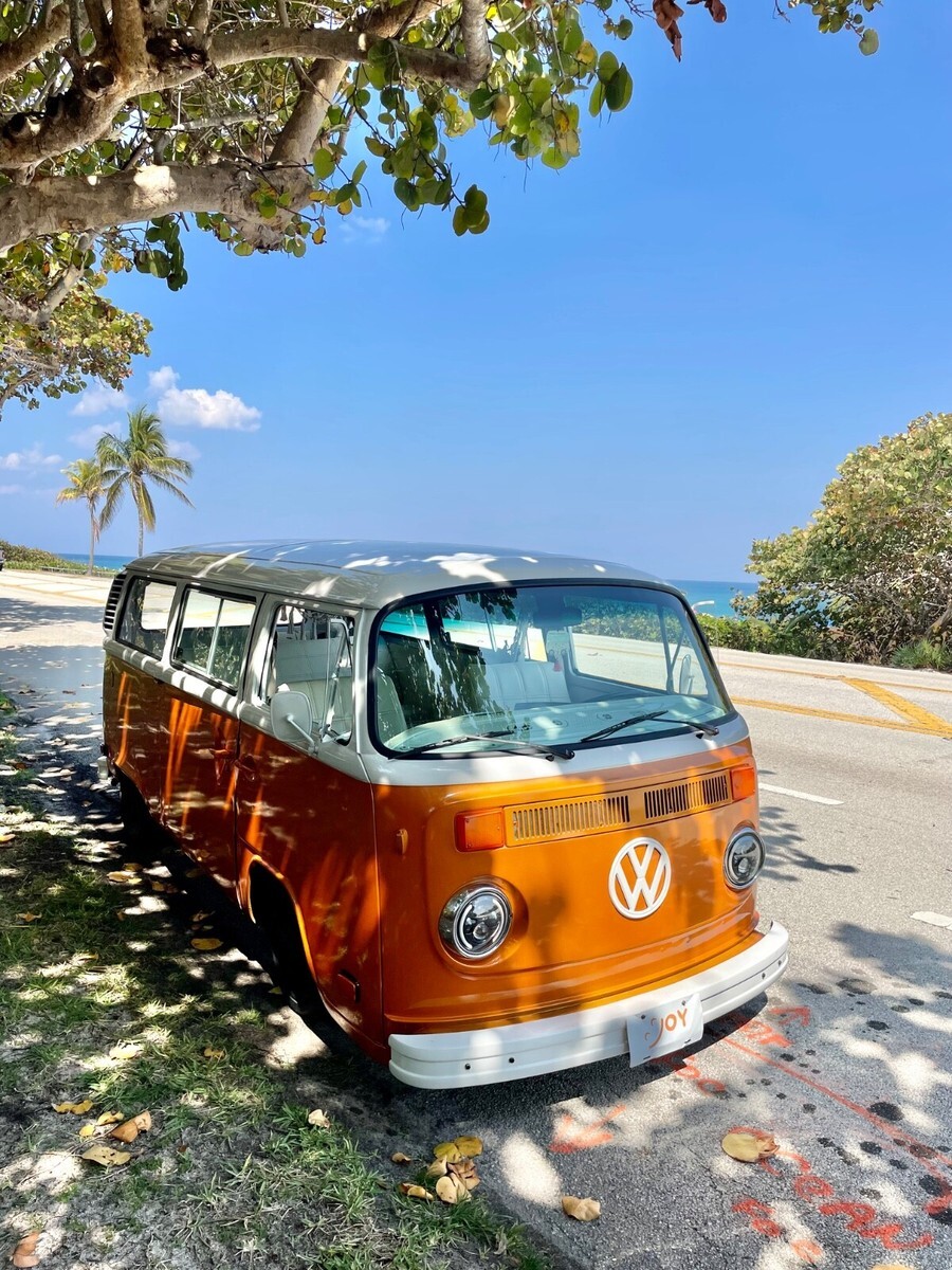 1977 Volkswagen Bus/Vanagon - photo 8