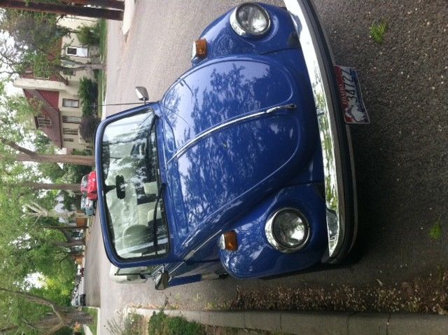 1977 Volkswagen Beetle - Classic - photo 8