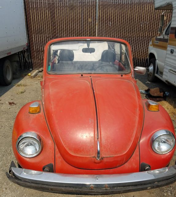 1977 Volkswagen Beetle - Classic convertible - photo 2