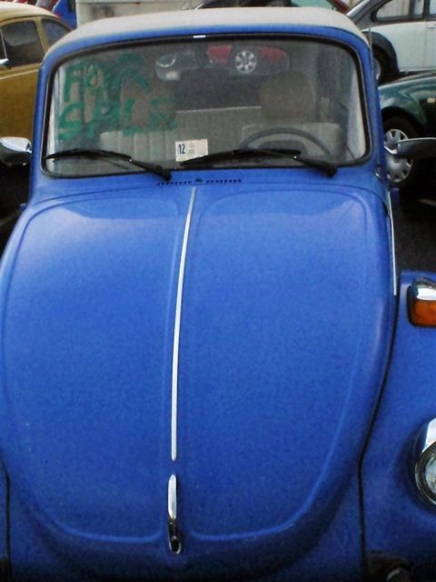 1977 Volkswagen Beetle - Classic convertible - photo 2