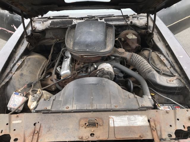 1977 Pontiac Trans Am - photo 2