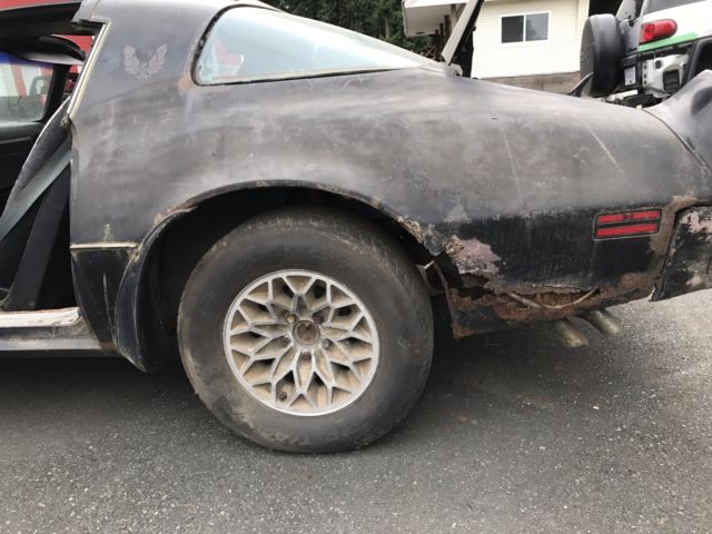 1977 Pontiac Trans Am - photo 6