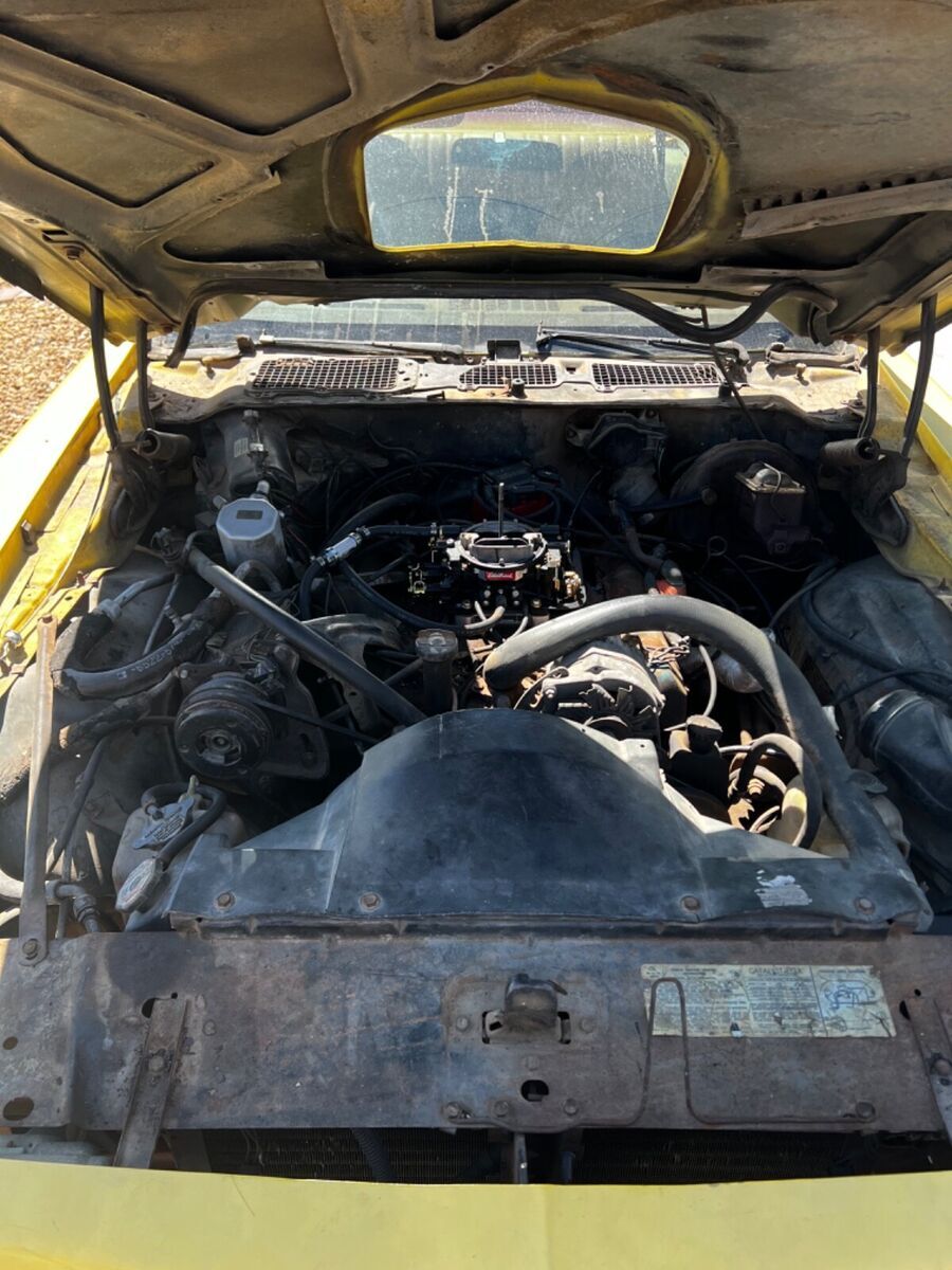 1977 Pontiac Trans Am - photo 6