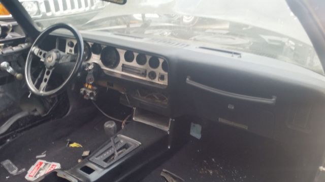 1980 Pontiac Trans Am Deluxe - photo 12