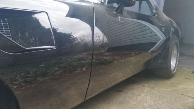 1980 Pontiac Trans Am Deluxe - photo 6