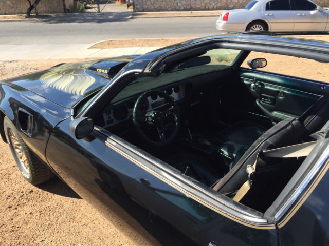 1981 Pontiac Firebird - photo 10