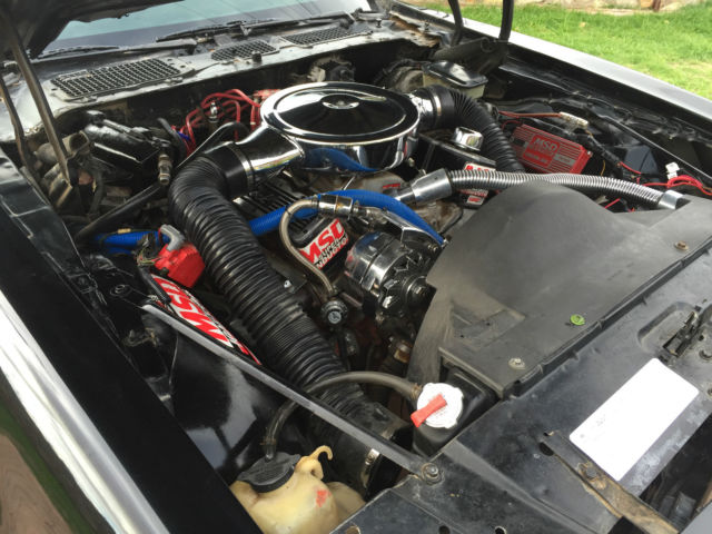 1981 Pontiac Firebird - photo 12