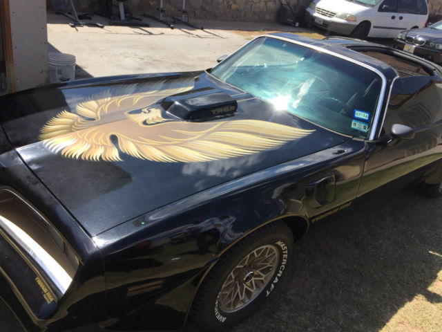 1981 Pontiac Firebird - photo 4