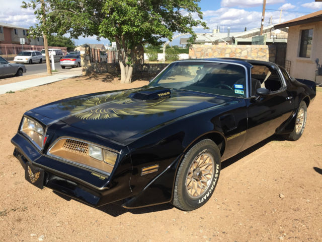 1981 Pontiac Firebird - photo 9
